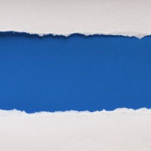 Meet your Posher, Max